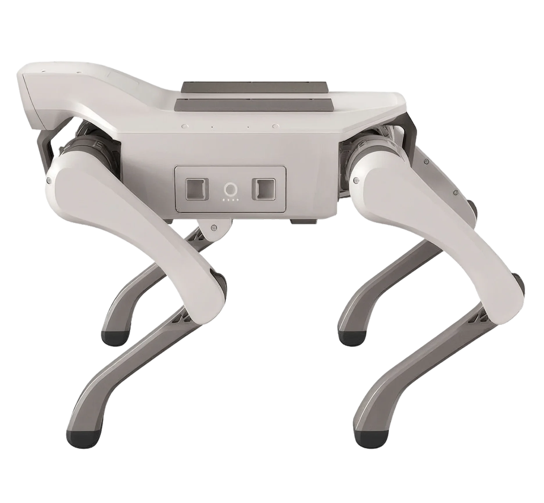 Cyber Pet robotic dog, view 3 of 4